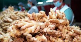 Exportaciones peruanas de jengibre superan los US$ 56 millones hasta agosto
