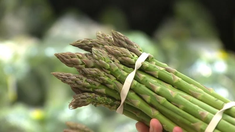 Perú fortalece su liderazgo mundial en el mercado de los espárragos con crecimiento de 11%