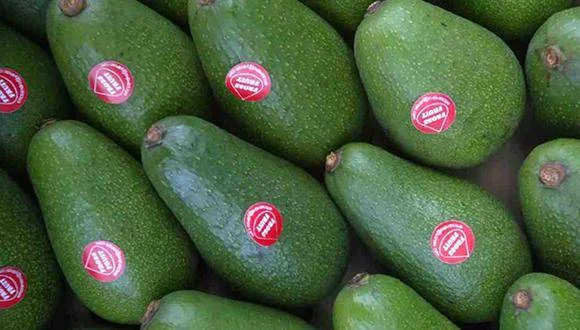 Puerto del Callao se consolida como actor principal en el aumento de las exportaciones de palta peruana
